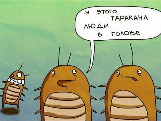 167394 (a): :1024x768